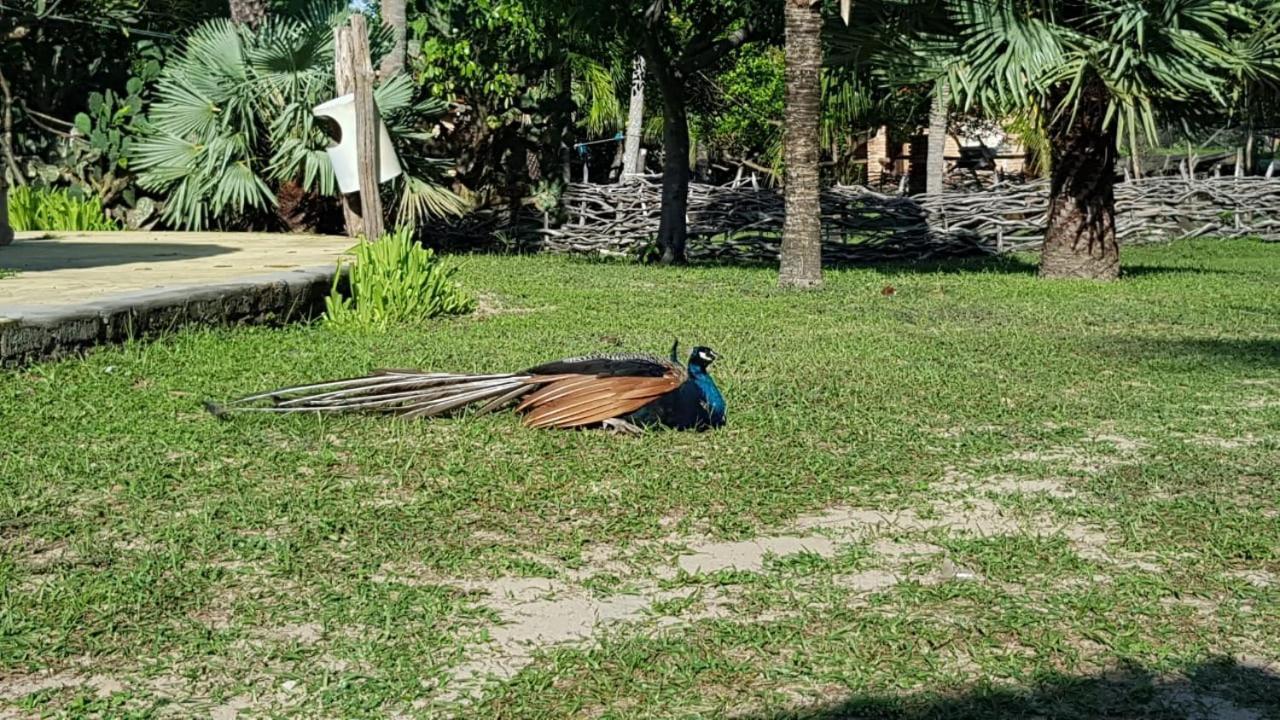 Rancho Do Buna Barreirinhas Εξωτερικό φωτογραφία